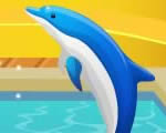 play_with_dolphins